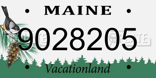 9028205 Maine License Plate