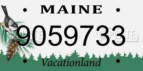 9059733 Maine License Plate