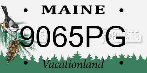 9065PG Maine License Plate