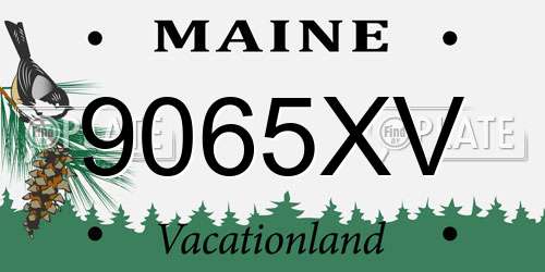 9065XV Maine License Plate