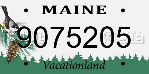 9075205 Maine License Plate