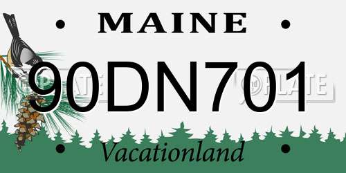 90DN701 Maine License Plate