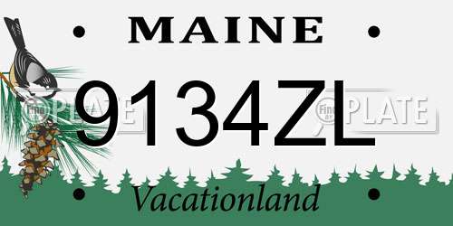 9134ZL Maine License Plate