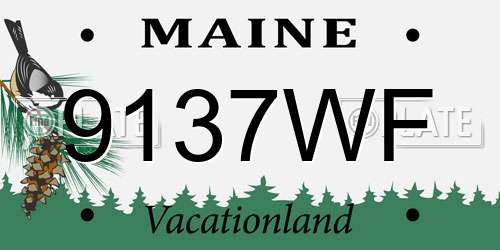 9137WF Maine License Plate