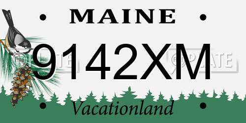 9142XM Maine License Plate