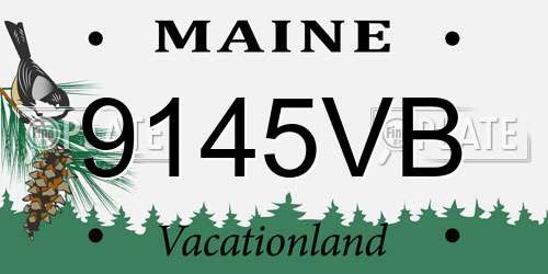 9145VB Maine License Plate