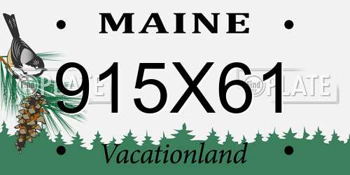 915X61 Maine License Plate
