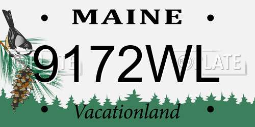 9172WL Maine License Plate