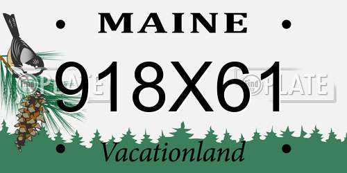918X61 Maine License Plate