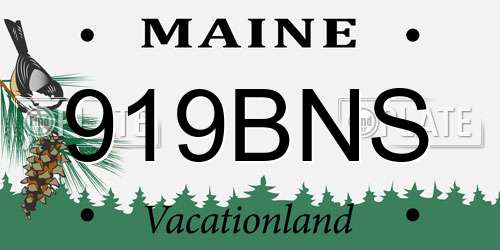 919BNS Maine License Plate