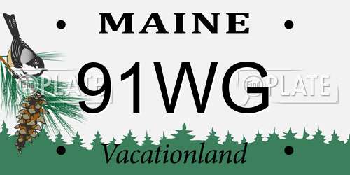 91WG Maine License Plate