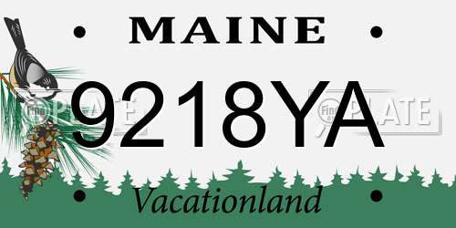 9218YA Maine License Plate