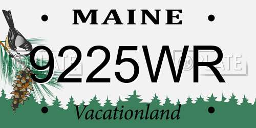 9225WR Maine License Plate