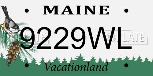 9229WL Maine License Plate