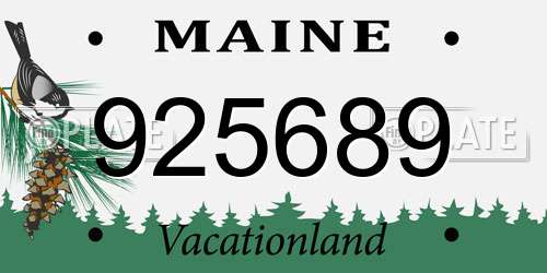 925689 Maine License Plate