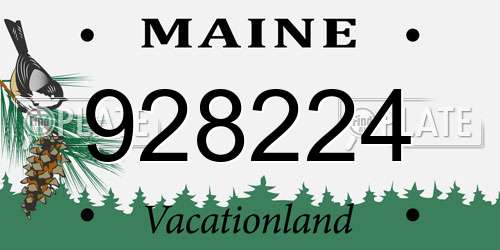 928224 Maine License Plate