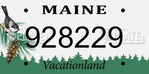 928229 Maine License Plate