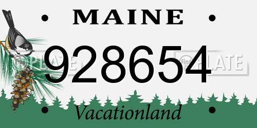 928654 Maine License Plate