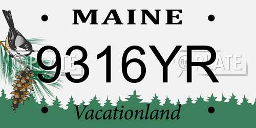 9316YR Maine License Plate