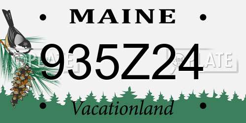 935Z24 Maine License Plate
