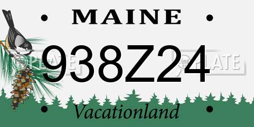 938Z24 Maine License Plate