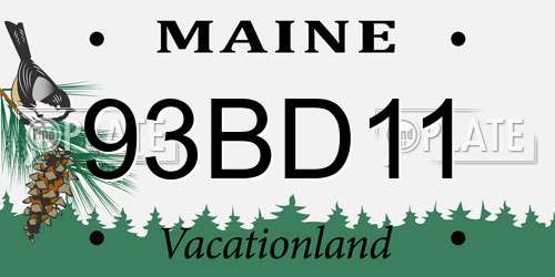 93BD11 Maine License Plate