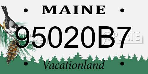 95020B7 Maine License Plate