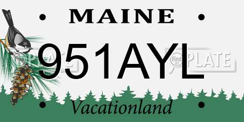 951AYL Maine License Plate