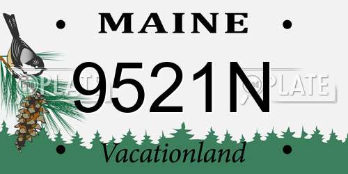 9521N Maine License Plate