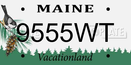 9555WT Maine License Plate