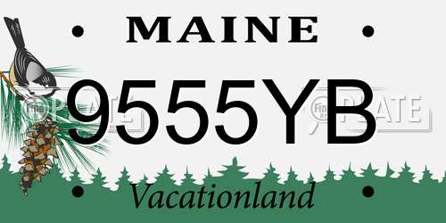 9555YB Maine License Plate