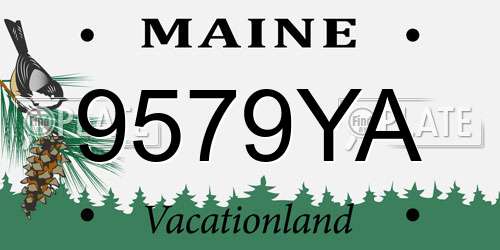 9579YA Maine License Plate