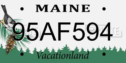 95AF594 Maine License Plate
