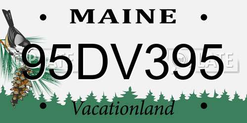 95DV395 Maine License Plate