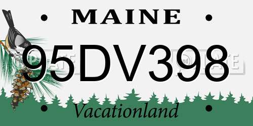 95DV398 Maine License Plate