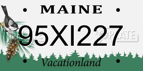 95XI227 Maine License Plate