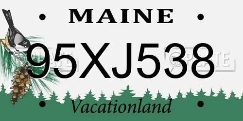 95XJ538 Maine License Plate