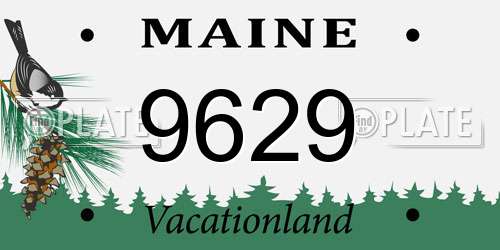 9629 Maine License Plate