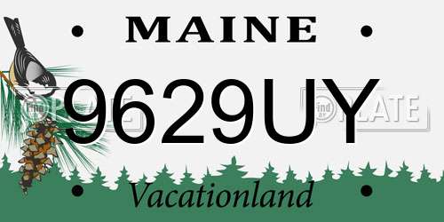 9629UY Maine License Plate