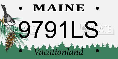 9791LS Maine License Plate