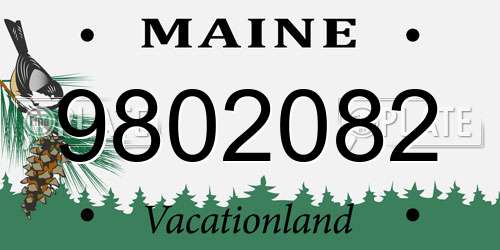 9802082 Maine License Plate