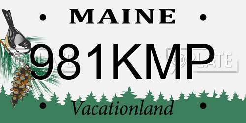 981KMP Maine License Plate