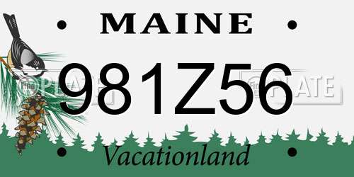 981Z56 Maine License Plate