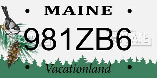 981ZB6 Maine License Plate