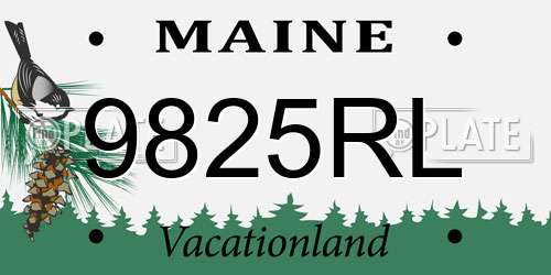 9825RL Maine License Plate