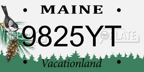 9825YT Maine License Plate