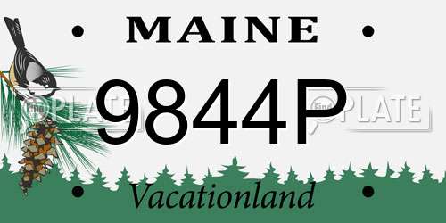 9844P Maine License Plate
