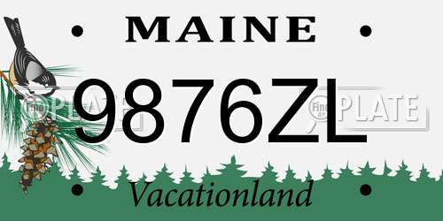 9876ZL Maine License Plate