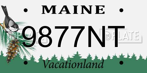 9877NT Maine License Plate