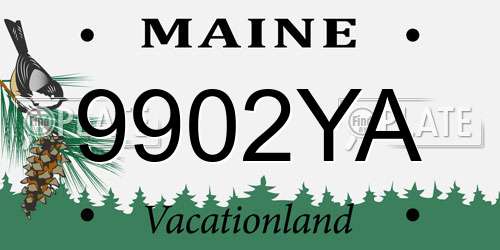 9902YA Maine License Plate